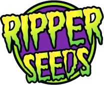 Ripper seeds